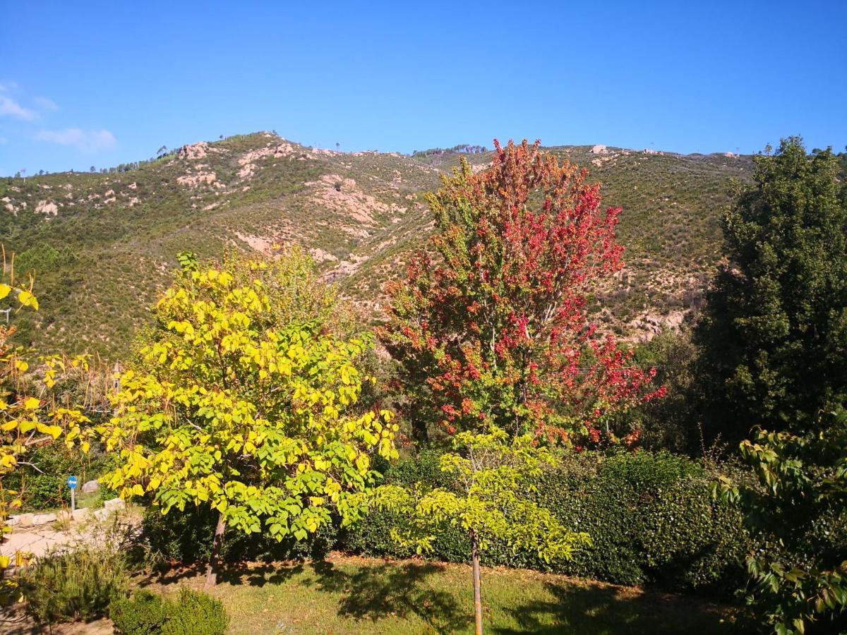L'Ogliastru Bed & Breakfast Ucciani ภายนอก รูปภาพ
